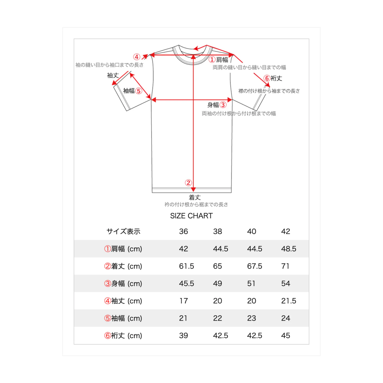 DRY BONES LOGO - WHITE