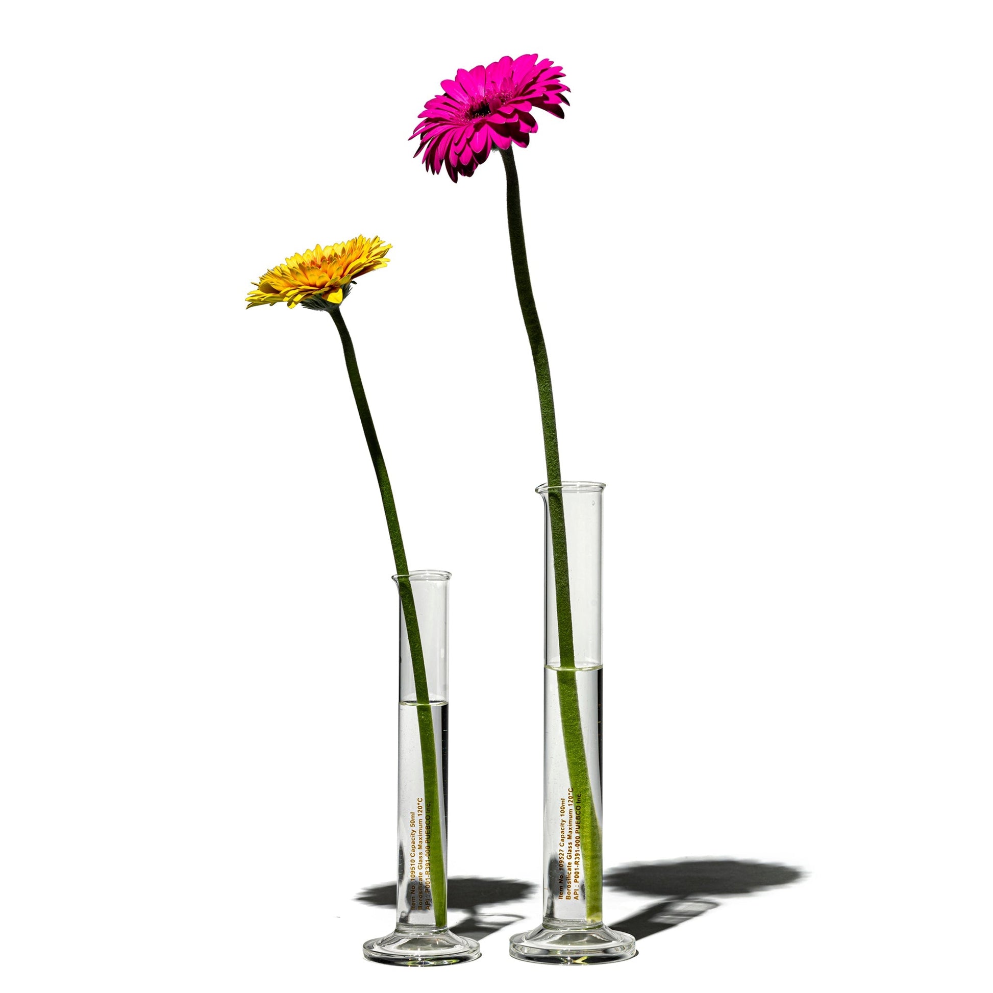 PUEBCO SINGLE FLOWER VASE / 50ml