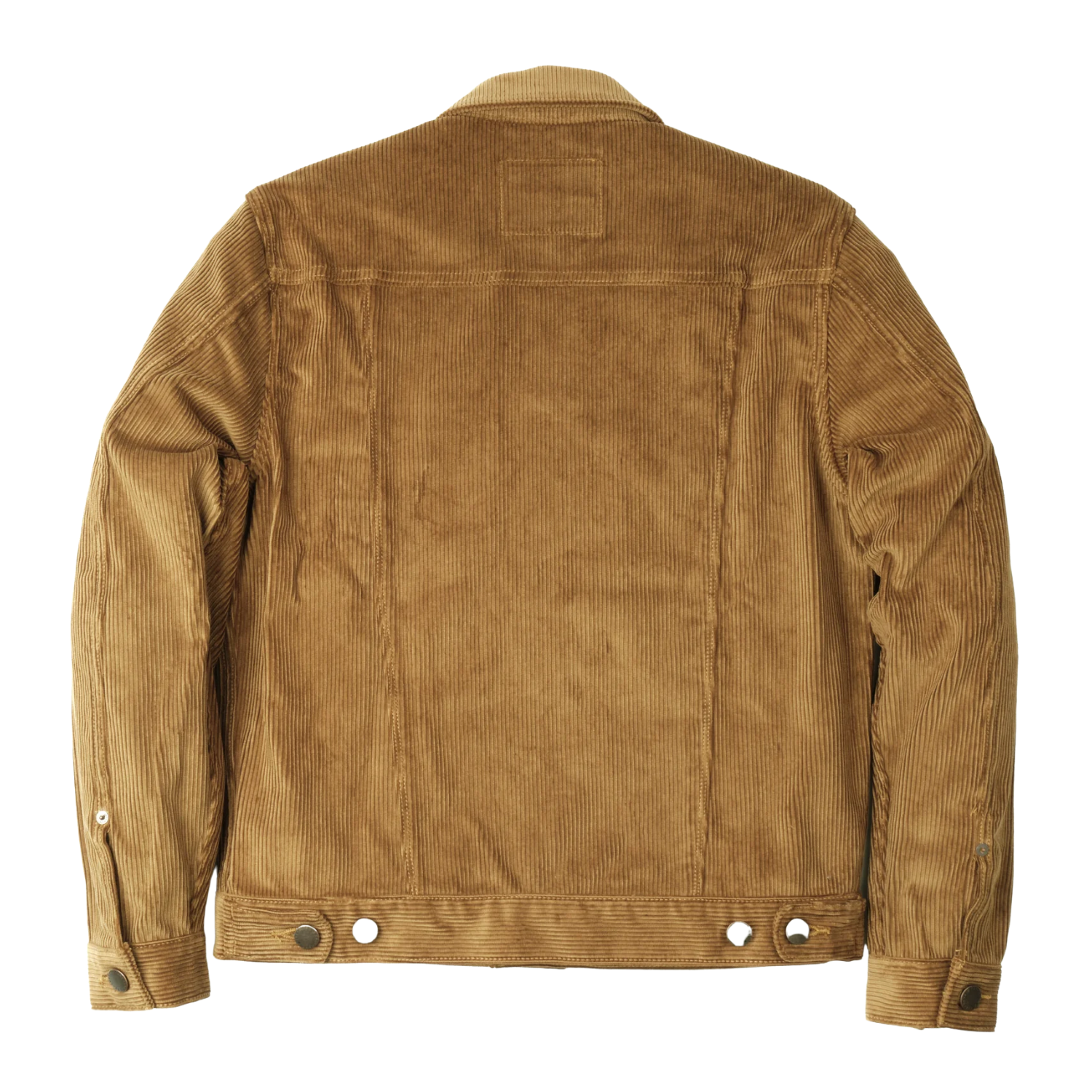 FREENOTE CD-1 GOLD CORDUROY - GOLD CORDUROY