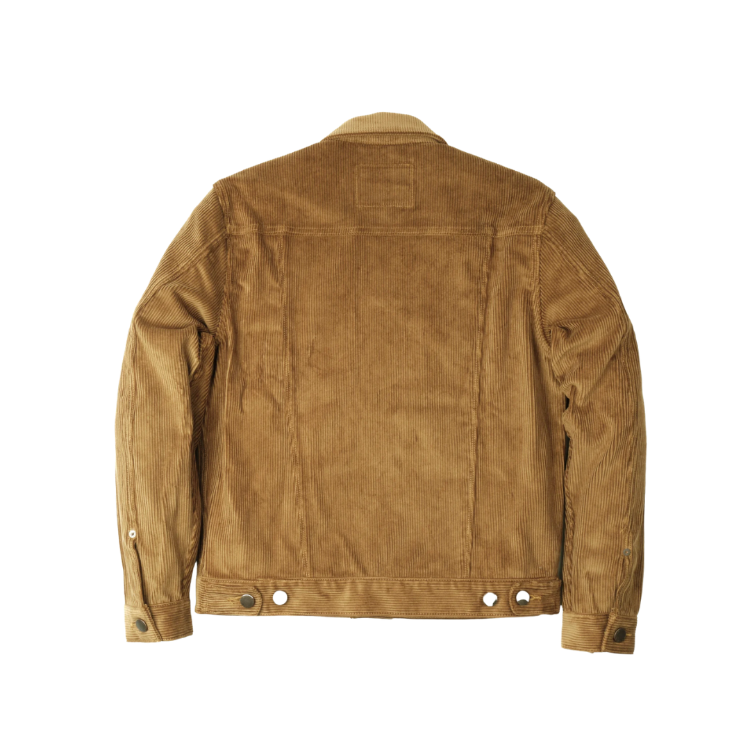 Freenote Cd-1 Gold Corduroy — Gold Corduroy