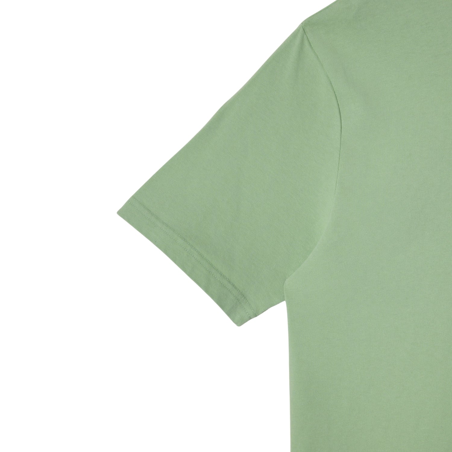 STAN RAY STAN OG TEE - QUIET GREEN/TONAL