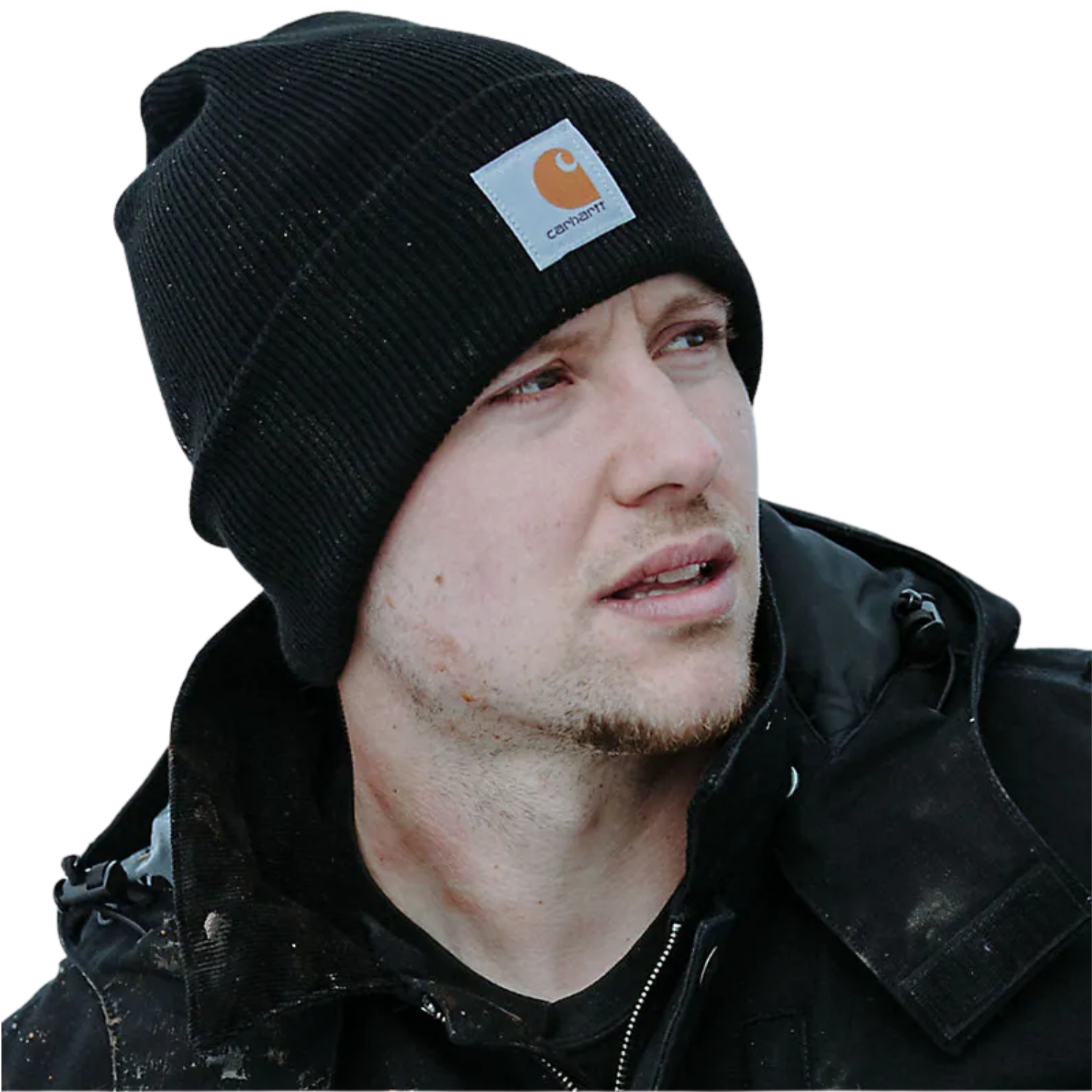 CARHARTT KNIT CUFFED BEANIE - BLACKBERRY