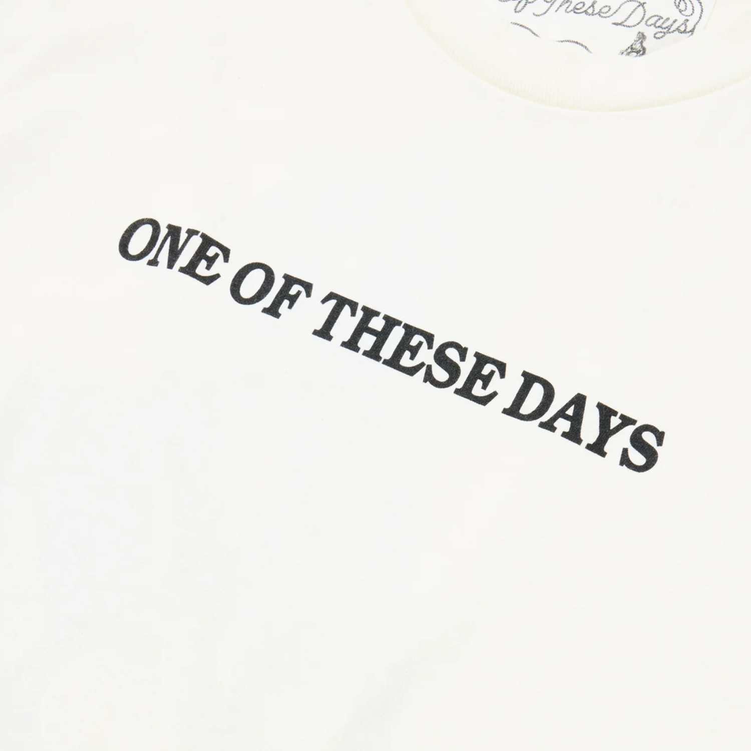 ONE OF THESE DAYS XEROX RUNNING HORSE T-SHIRT - BONE