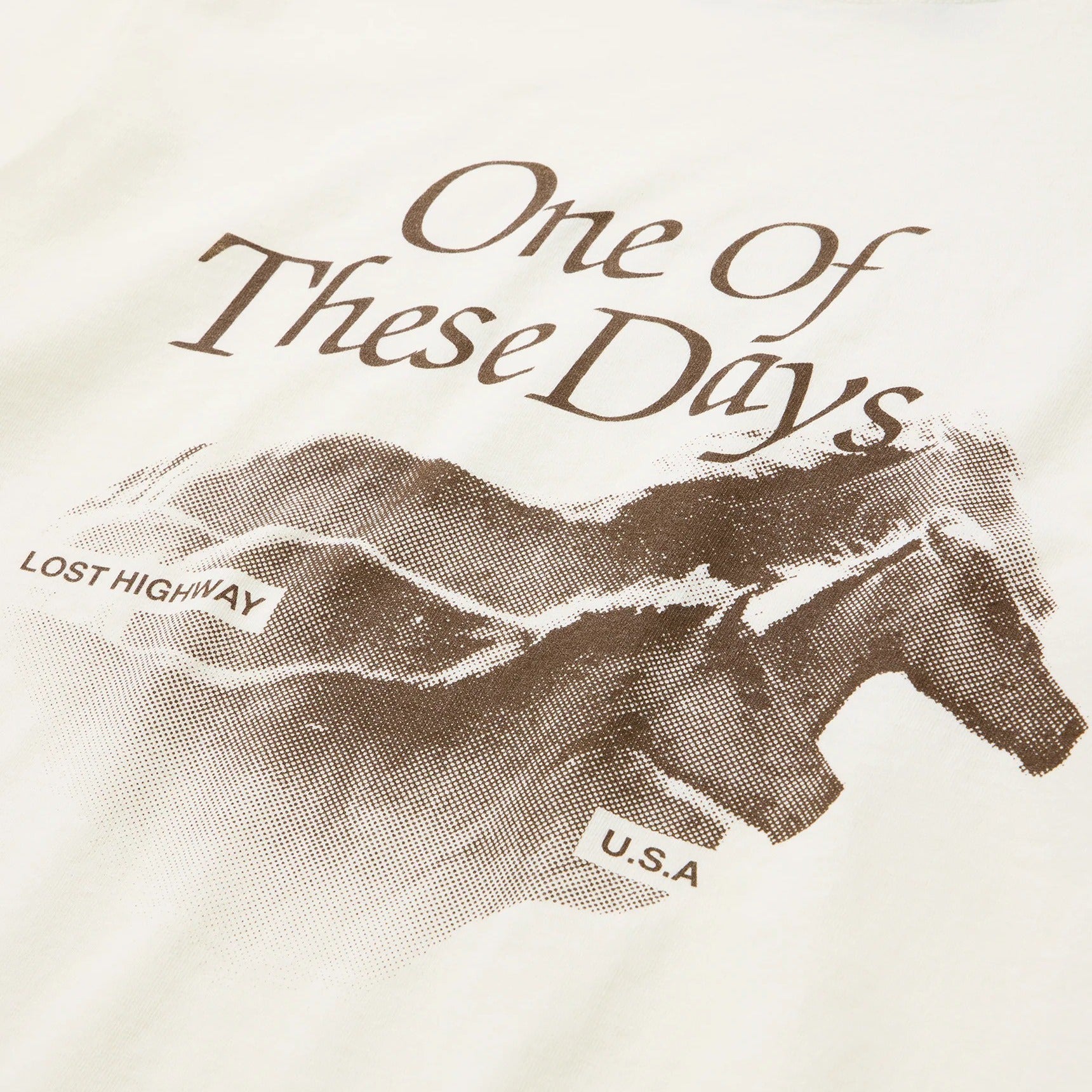 ONE OF THESE DAYS LOST HIGHWAY T-SHIRT - BONE