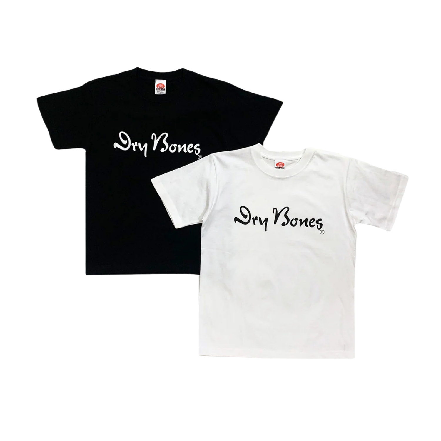 DRY BONES LOGO - WHITE