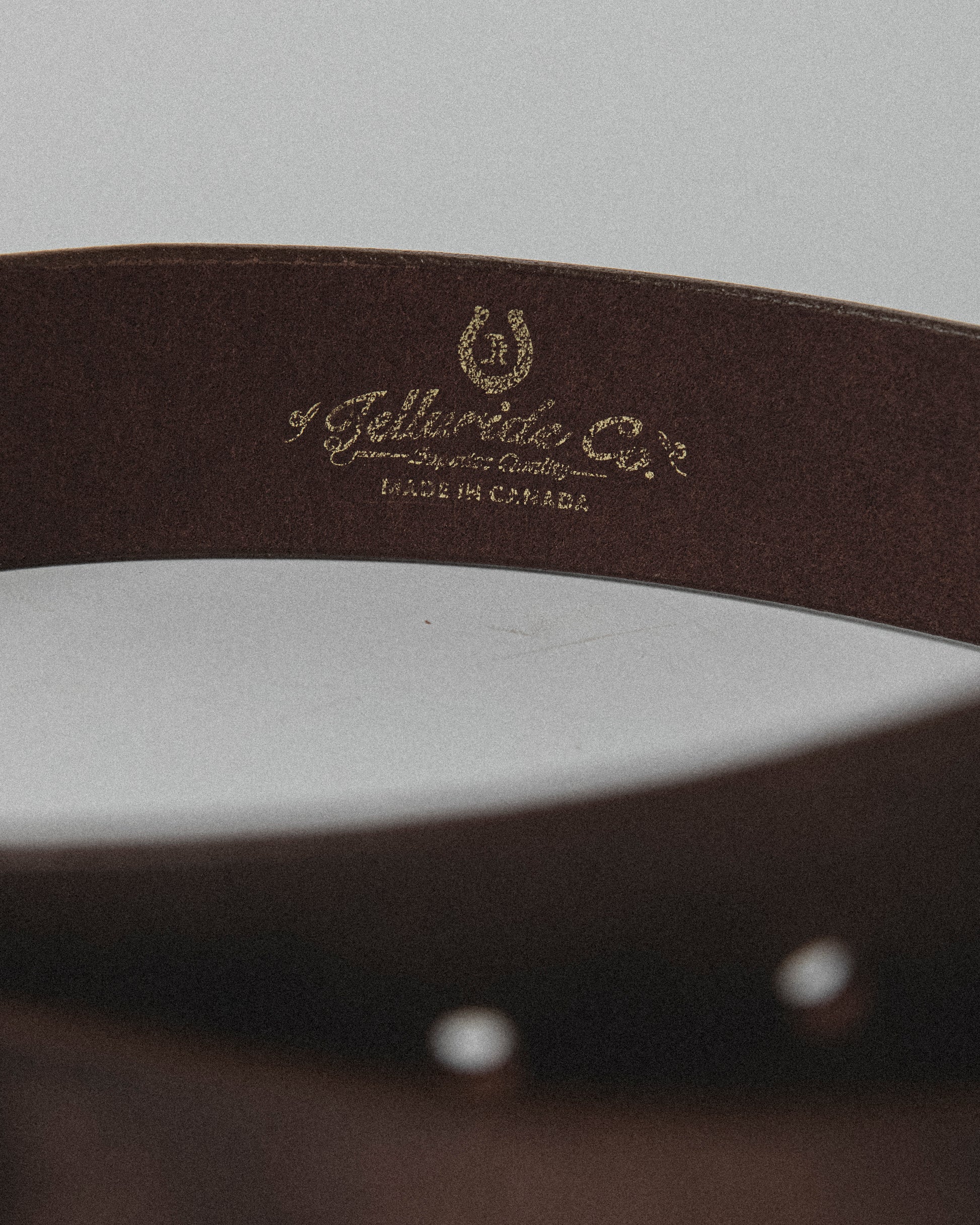 TELLURIDE BUFFALO BILL TOTEM BELT 40MM - STAMPEDE