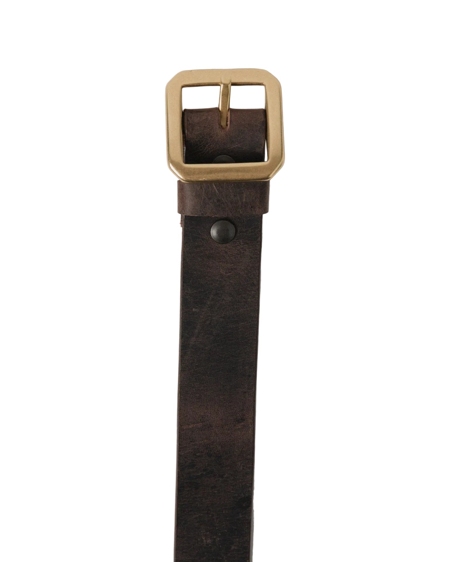 TELLURIDE BUFFALO BILL ANVIL BELT 40MM - STAMPEDE