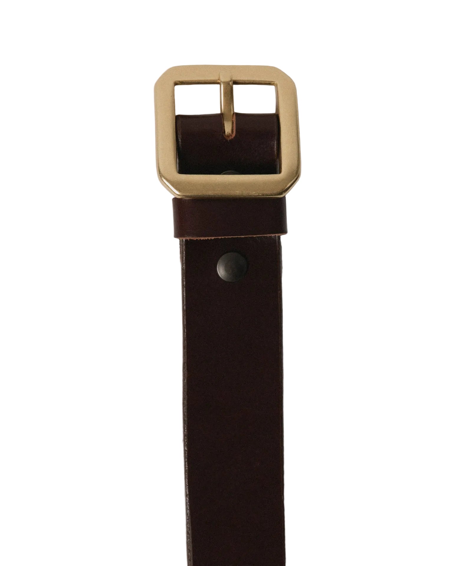 TELLURIDE BUFFALO BILL ANVIL BELT 40MM - MAHOGANY