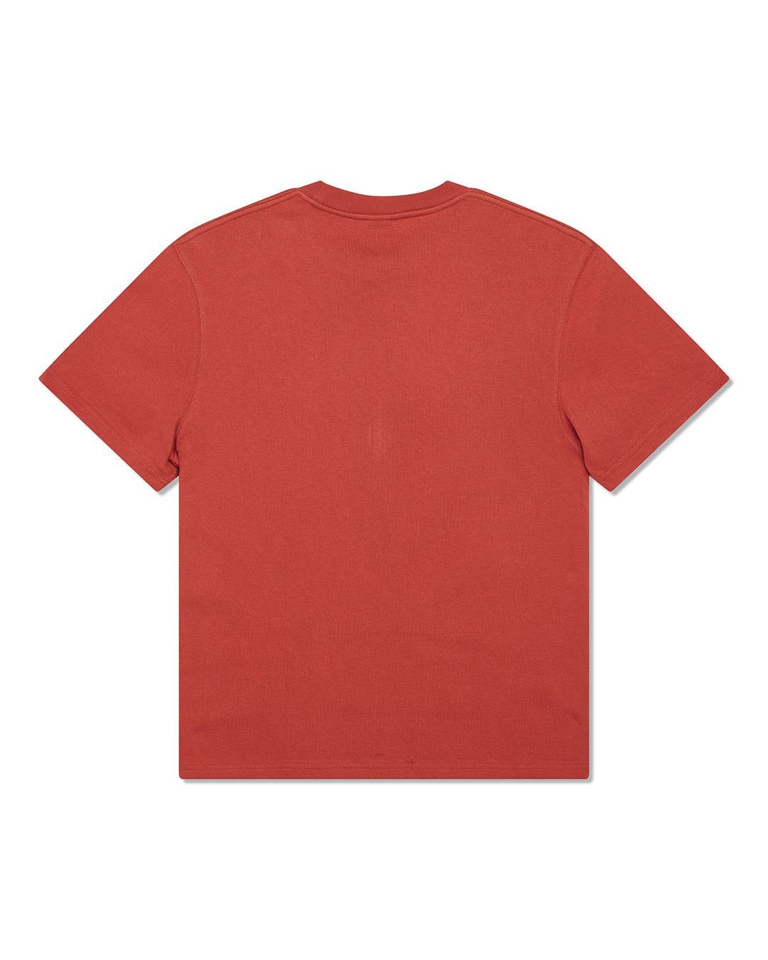 pill-logo-tee-terracotta|Model