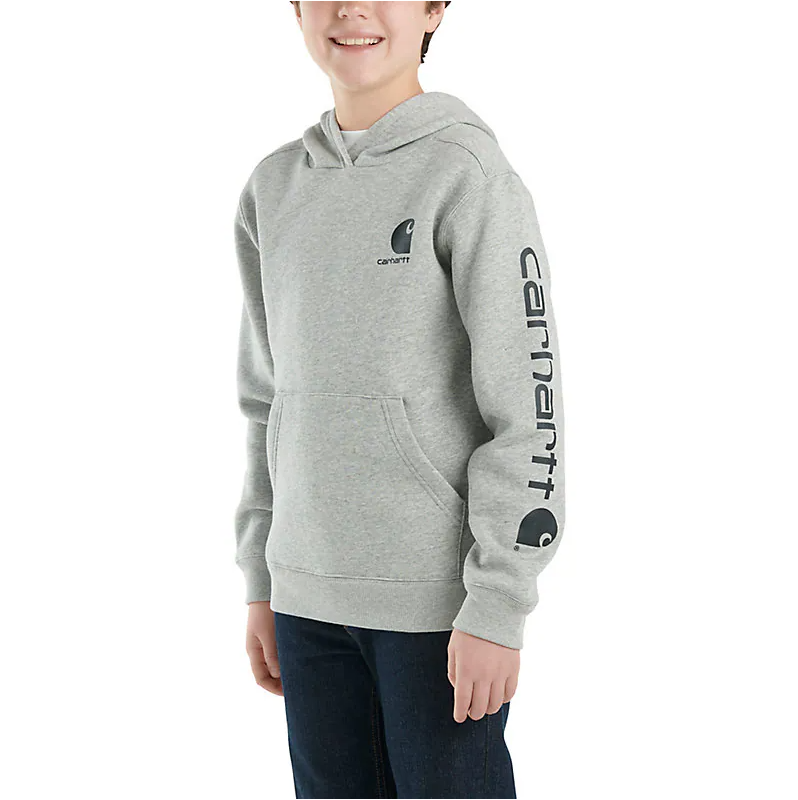 Carhartt Boys Long-Sleeve Graphic Sweatshirt — Heather Gray — front view