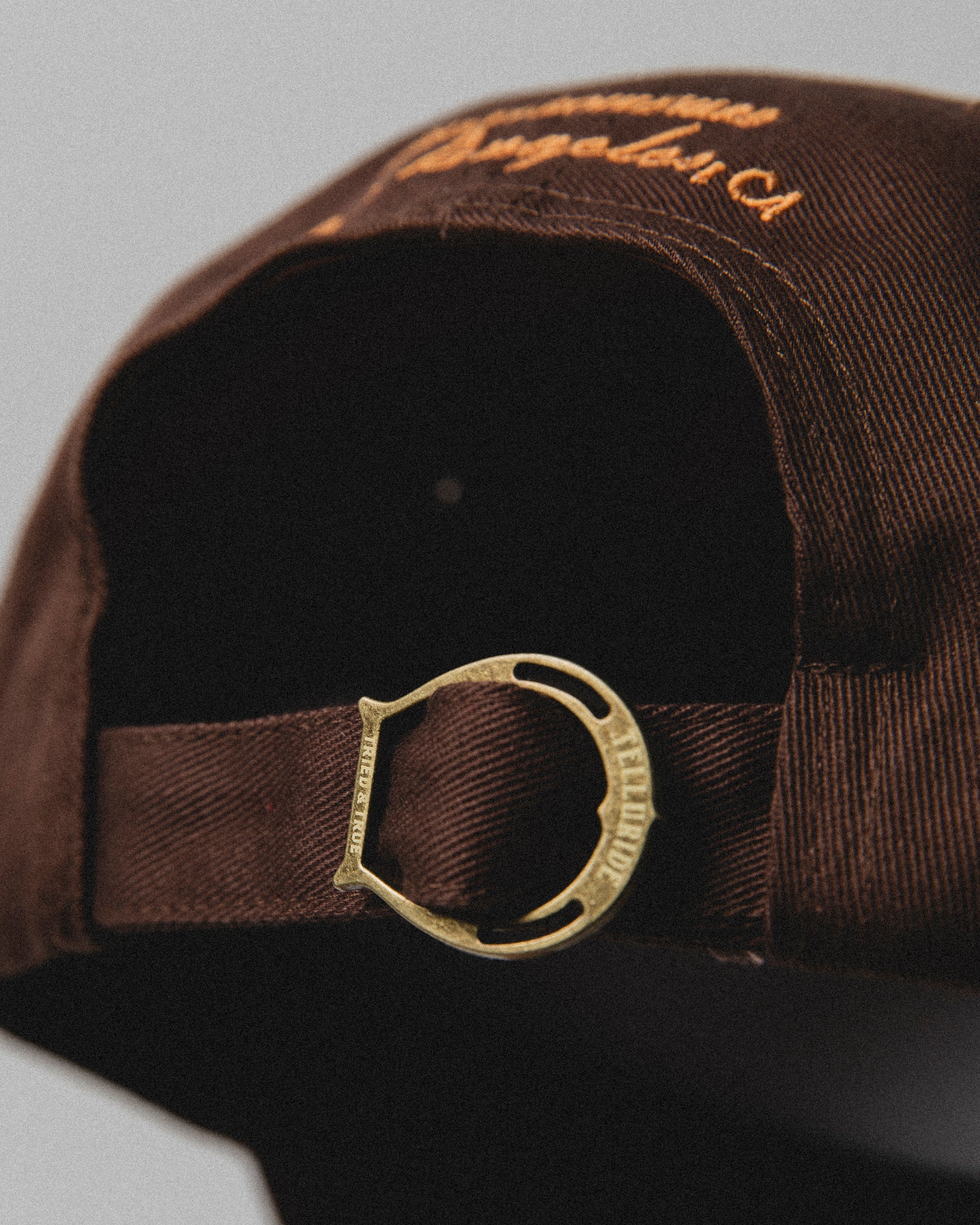 TELLURIDE CINEMA CAP - RUST