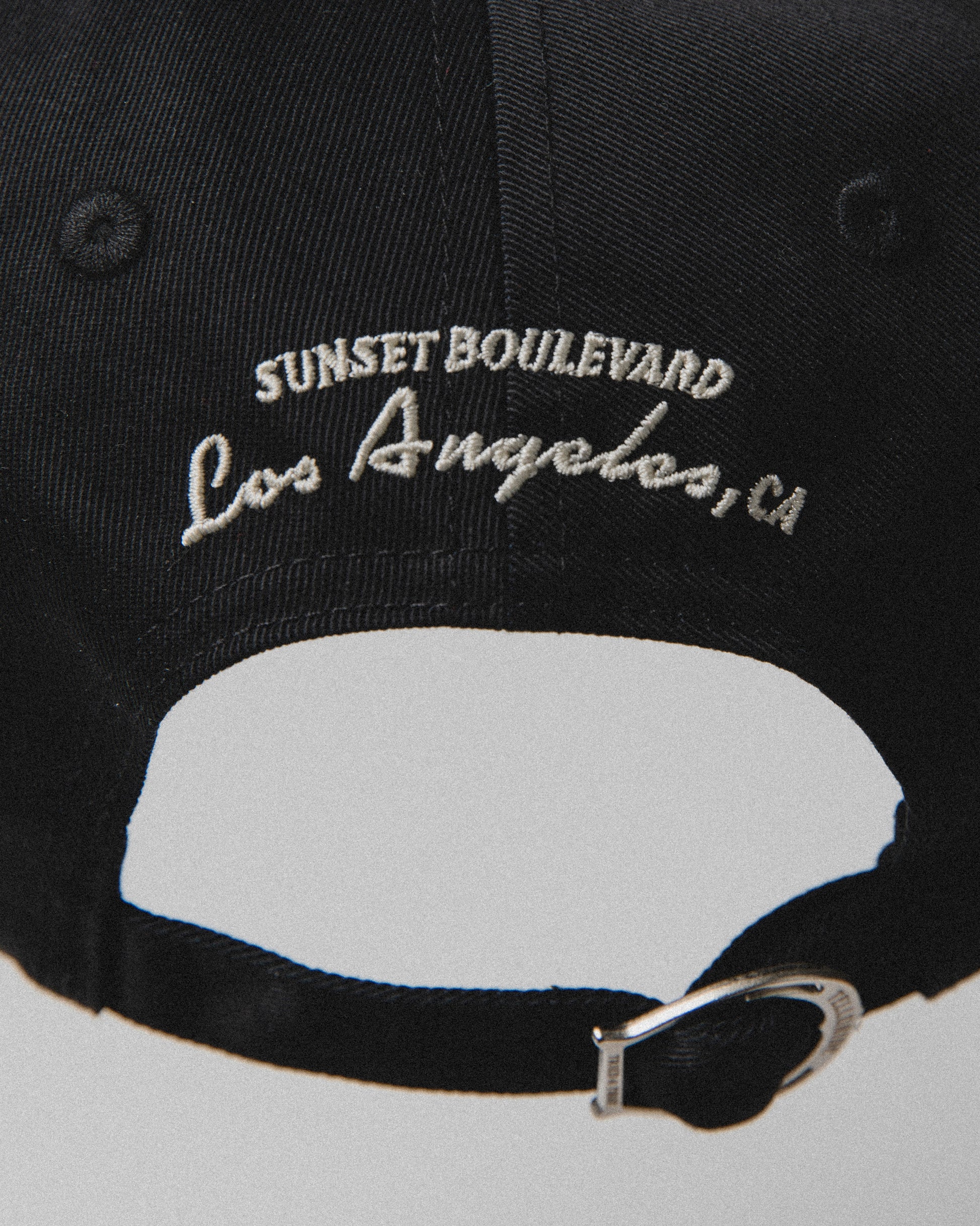 TELLURIDE CINEMA CAP - CROW